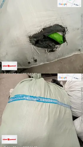 1000106147.webp