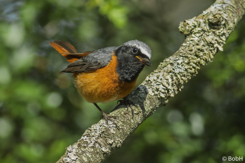 GsyZEGUWQAAc Zn.jpg