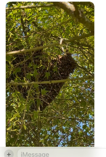 5739F260 E224 4D3E BE66 38029169E7AB 1 201 a.jpg