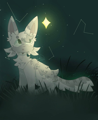 Foggyfields for ensiifera (AP).jpg