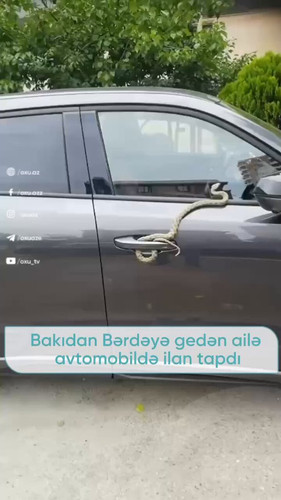 5YZtpzSksO5Mkjb1.jpg