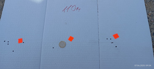 1000003512.jpg