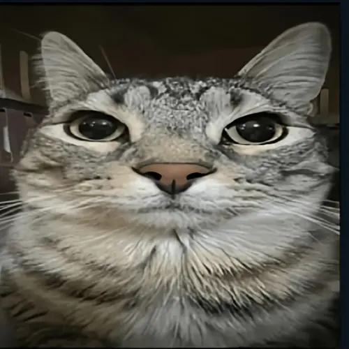 file.webp