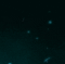 standard (11).gif