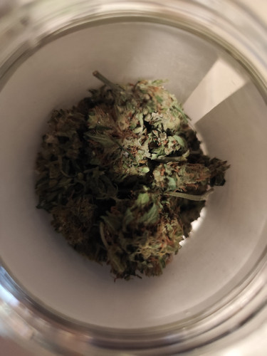 IMG 20250608 005311.jpg