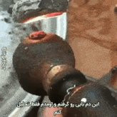 Gs2wO3dXMAAk1lM.jpg