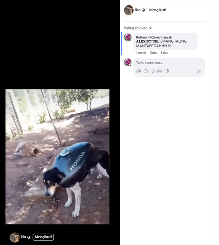 Screenshot 12.png