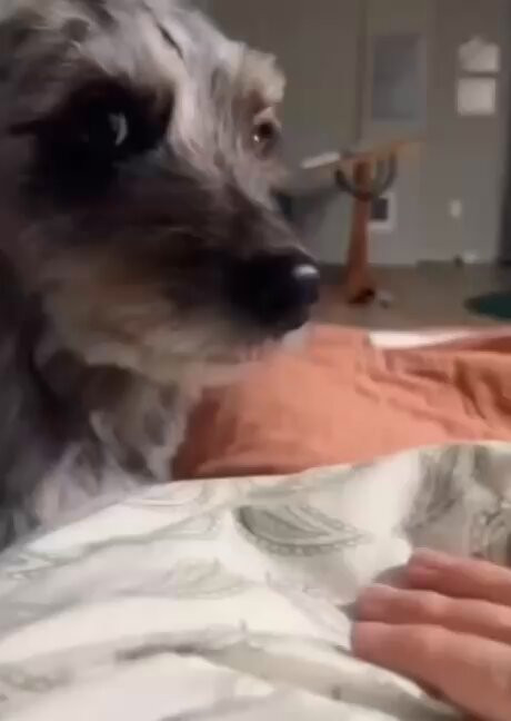 GAz pYzHJDz2jsX .jpg