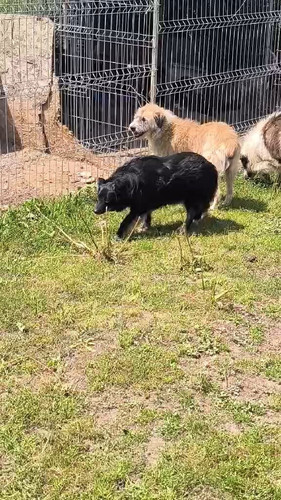 FNewaNG rmWmERLn.jpg