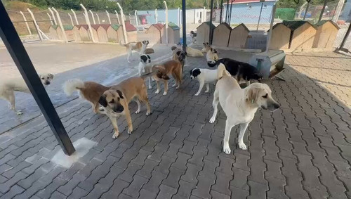 E pEbICPKu3cSVRz.jpg