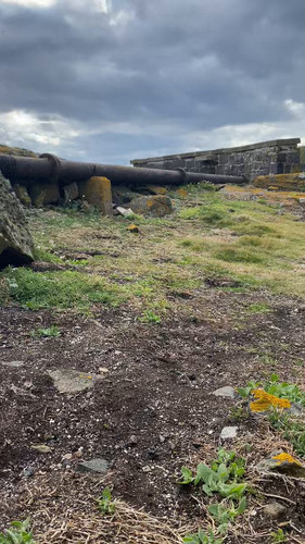 wnUy3rb3YVm m10t.jpg