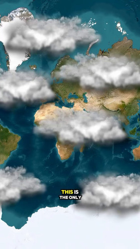 I2uyhSSi6OSR OLL.jpg