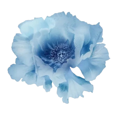 IMG 1392 removebg preview.png