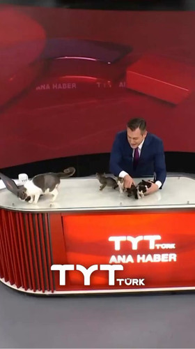 w wpay3xGCrhqE41.jpg