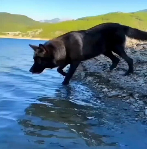 B4LBnCNo DLWvVCk.jpg