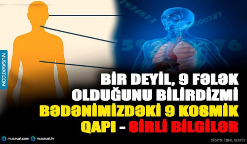 504857290 1385965406356381 4385192119627064627 n.jpg?stp=dst jpg p180x540 tt6& nc cat=103&ccb=1 7& n.jpg