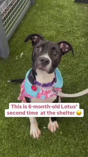 n5PU sp7cgfwS6lu.jpg