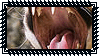 1000030749.gif