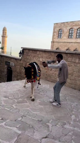 3b3vnamp A5hvx4C.jpg