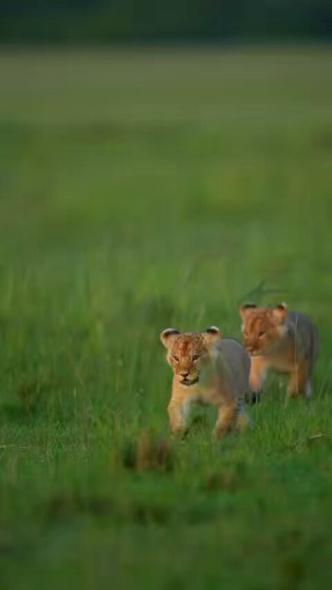 QW2cH57 7DqZRdro.jpg