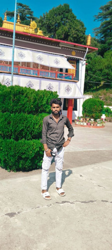 file 309.jpg