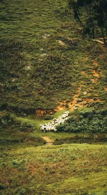 lgbQUZPVqP4UNAs8.jpg