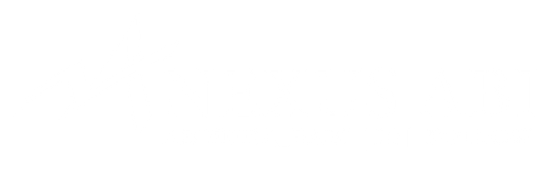 NEXUS LOGO.png
