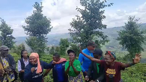 z2tShgA3y Ld3aSh.jpg