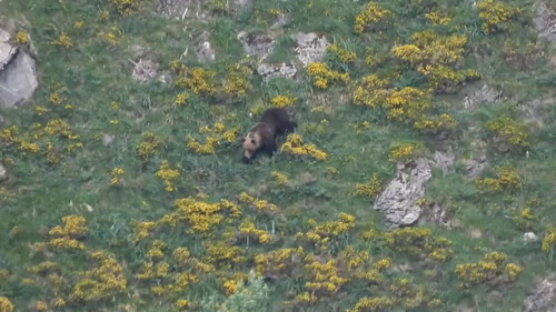 elrOdd uBkWJ89jg.jpg