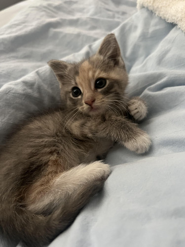 504341422 1257634629255609 4977046654445011351 n.jpg