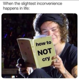 screenshot 2025 06 06 at 7.41.26 am 480.png