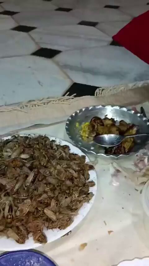 H8j65WAowXkAfC n.jpg