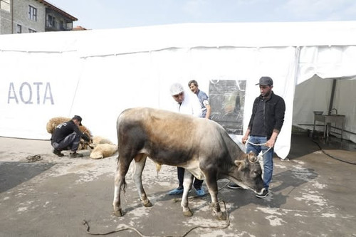 504156580 1142701124552832 1820092920365288385 n.jpg?stp=dst jpg p526x395 tt6& nc cat=101&ccb=1 7& n.jpg