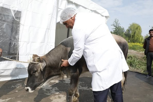 503420411 1142701181219493 4253091753437813152 n.jpg?stp=dst jpg p526x395 tt6& nc cat=103&ccb=1 7& n.jpg