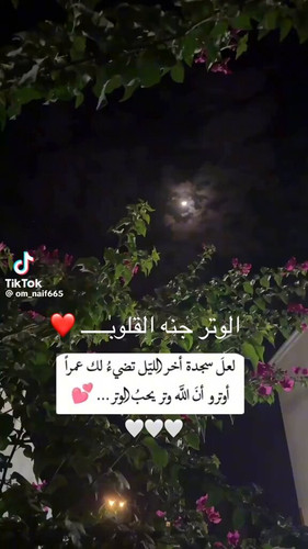 0v uZfs f7K MWBf.jpg