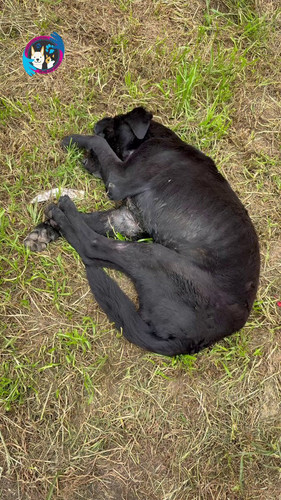 y5PPh6OTz6jzhAAP.jpg