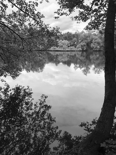 Gs1D9DBWQAAwNk5.jpg