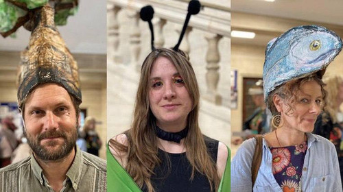 Q2VtYSXgUUSbHUOXTiJNsioCkZTmdrRwC3MkbEGt4zLZ6vKluEYQeCBSD bKT5OC4M3Oq5zdVd2Z8gEOOiLTy9FZaUYqTXLL1mos.jpg