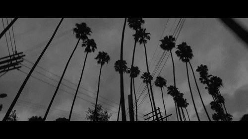 vlcsnap 2025 06 07 12h48m29s684.png