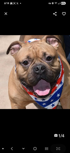 GsZAvESXMAMgGR9?format=jpg.jpg