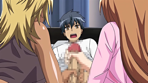 Sei Yariman Sisters Pakopako Nikki (1).png