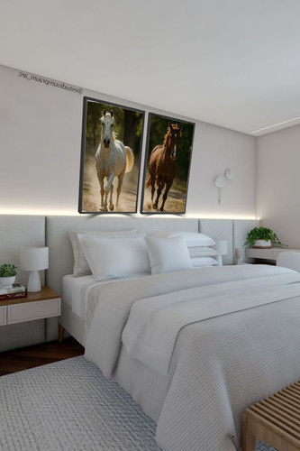 cavalo ambinet.jpg