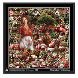 Strawberry Spring