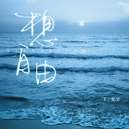 1000050009.webp