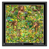 Citrus Sunshine 1