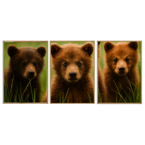 urso carvalho claro.png