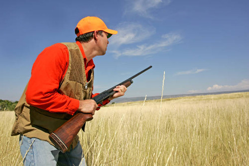 Goose Hunting In Colorado - Birds and Bucks Outdoors.jpg