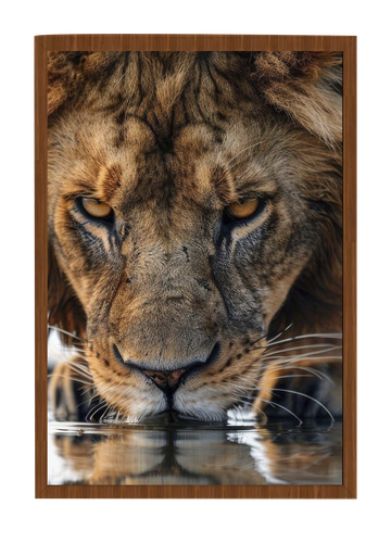 leao Quadro carvalho escuro.png