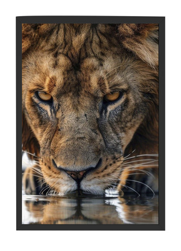 leao Quadro preto.jpg