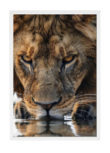 leao Quadro branco.jpg